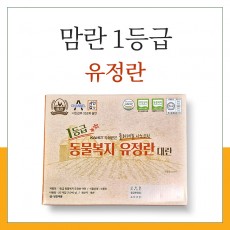 맘란 1등급 동물복지 유정란 대란 40구