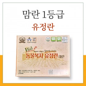 맘란 1등급 동물복지 유정란 대란 60구