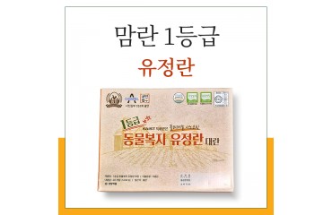 맘란 1등급 동물복지 유정란 대란 60구