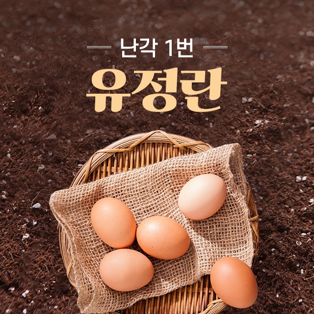 무항생제 유정란 난각번호1번 신선계란 유정란 60구