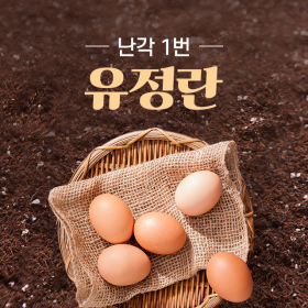 무항생제 유정란 난각번호1번 신선계란 유정란 40구