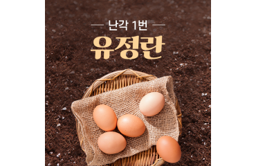 무항생제 유정란 난각번호1번 신선계란 유정란 40구