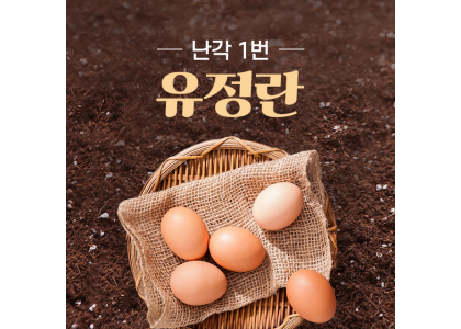 무항생제 유정란 난각번호1번 신선계란 유정란 40구